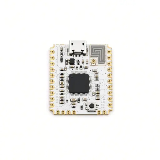 Raspberry Pi Pico W